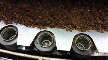 Horticoop HPO Bio Mandpotje totaal