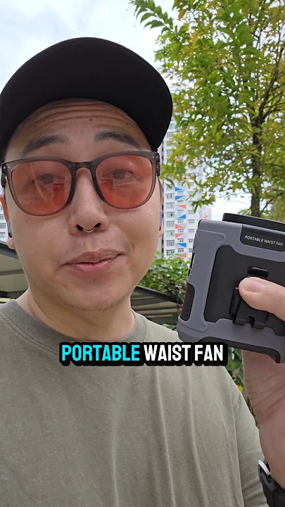 Portable waist fan