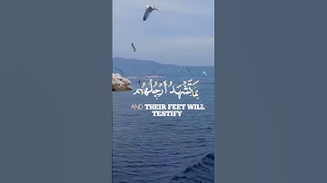 #ايات_قرانيه_قصيره #تجويد_القرآن_رائع #قران_كريم #تلاوات_خاشعة