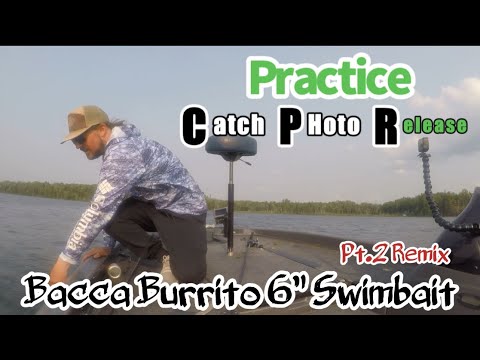 Swimbait fishing for largemouth bass