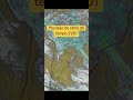 previsão do clima do tempo #viral #viral #alerta