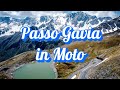 Passo Gavia on Board