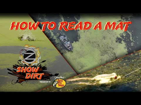 How To Read