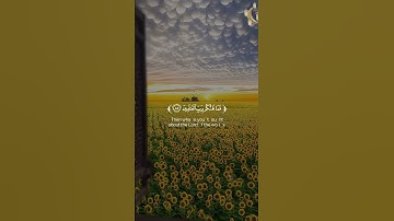 📖سورة الصافات 🎙️سمير عزت