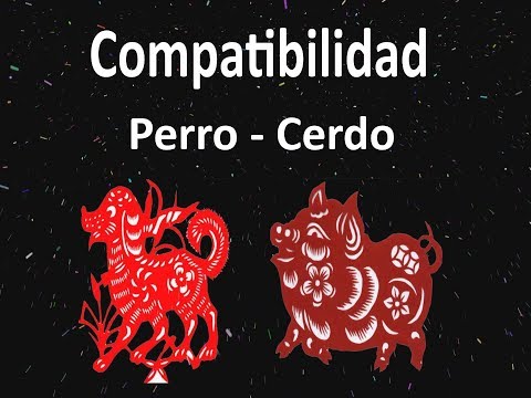 Video: Horóscopo De Compatibilidad Oriental: Cerdo Y Perro