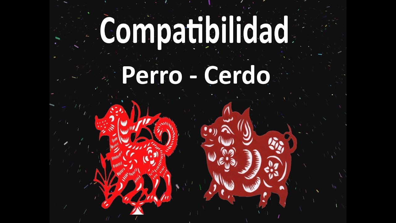 compatibilidad perro jabali horoscopo chino