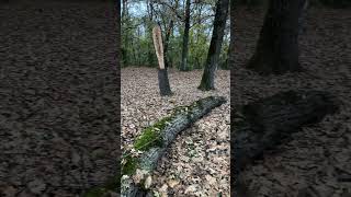 Broken Tree On Train Tracks