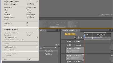 Adobe Flash CS4 Video Tutorial part 24 Exporting a Sequence of Images