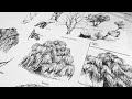How to draw trees  part two weeping willow and birch