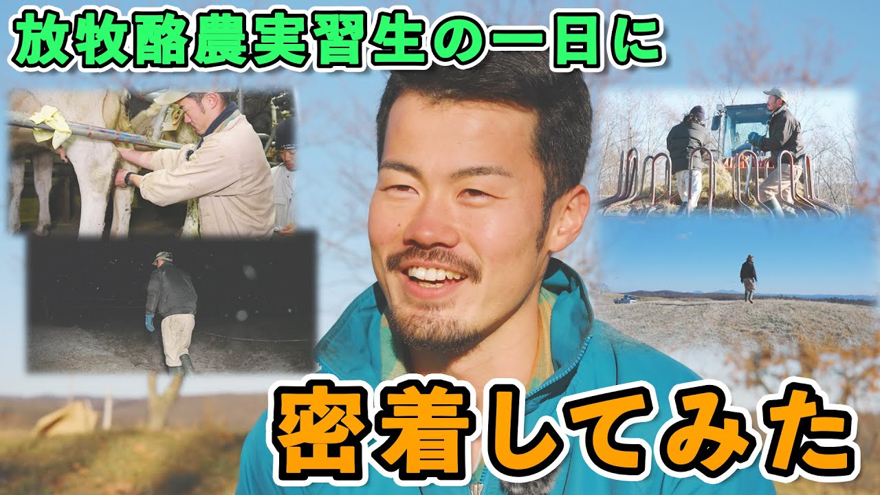 【ありがとう牧場】北海道の大地で放牧酪農を学ぶ 根岸航大【Ashoro Portrait#03】