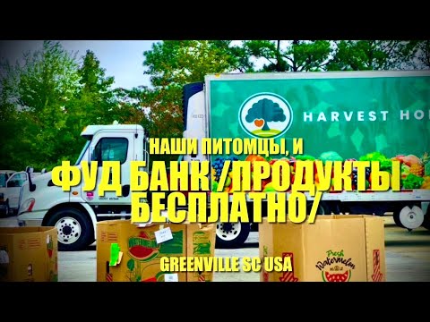 FOOD BANK/ ПРОДУКТЫ БЕСПЛАТНО в Южной Каролине. Как поживают наши питомцы?!? ***Америка для нас