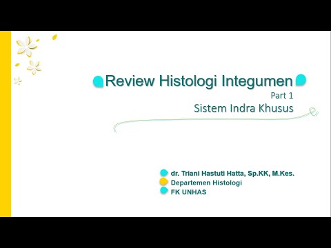 Histologi Integumen (Blok Indera Khusus) Part 1