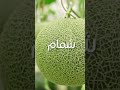 زراعات شهر مارس 