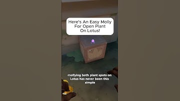 Mollying Open Plant On Lotus A Site Has Never Easier!!  #valorant #lineup #lotus #killjoy