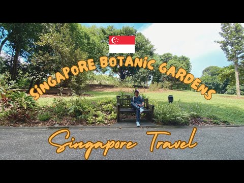 Singapore Botanic Gardens 🇸🇬 | Singapore Travel Vlog - YouTube