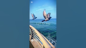 #سورة_الضحى#allah #quran #قرآن #اكسبلور #tiktok #capcut #explore #status #story #islamicstatu