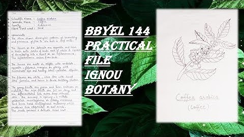 BBYEL 144 PRACTICAL FILE IGNOU BOTANY | DIAGRAMS | HANDWRITTEN WORK | HOW TO MAKE