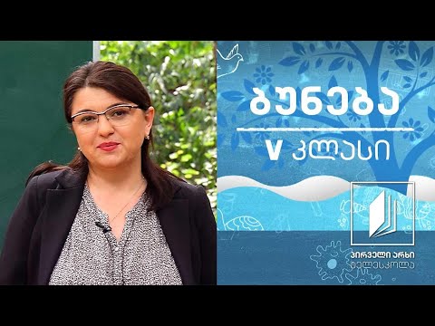 ბუნება, V კლასი - ჩვენი პლანეტა - დედამიწა; მთვარე #ტელესკოლა