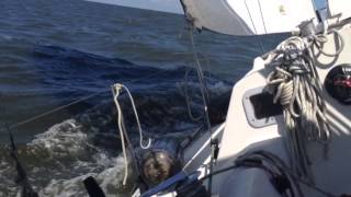 Summer Sailing