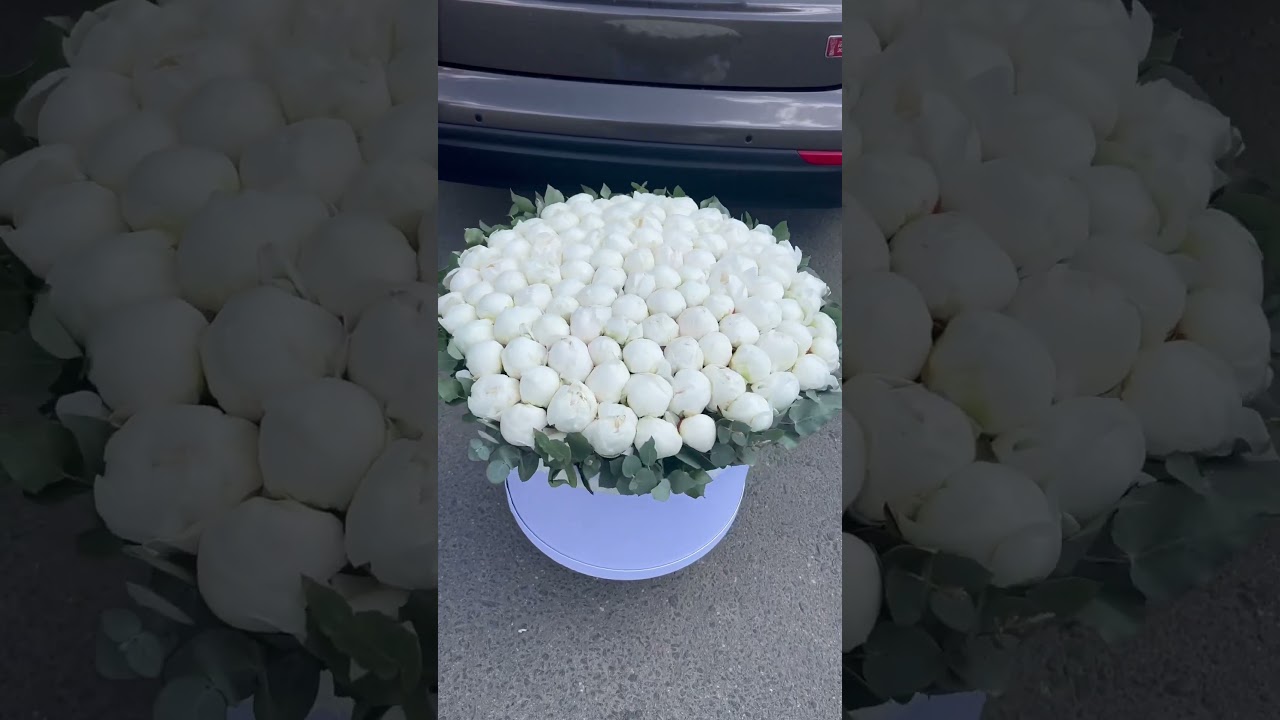 101 white peonies😍 