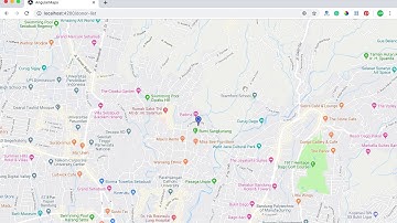 Angular 8 Google Maps Firebase Realtime Blood Donor App Demo + Article + Source code