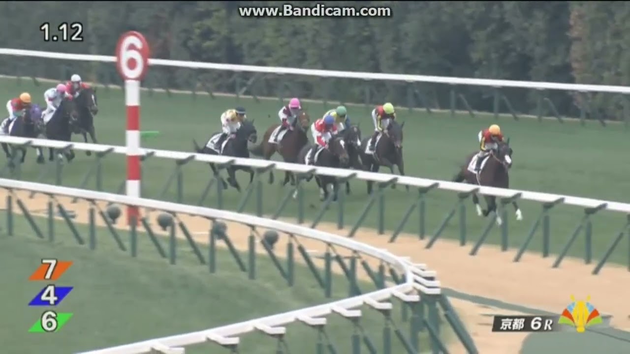 三歳未勝利様確認用 フェアリーライク 3歳未勝利 - YouTube