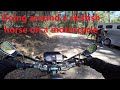 How to pass a skittish horse on a motorcycle