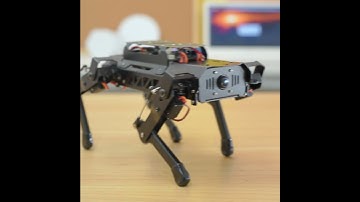 Small Body Inspires Powerful Energy---PuppyPi