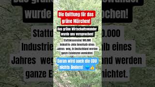 Das ist das grüne Wirtschaftswunder! #politik #deutschland #geldpolitik #news #grüne