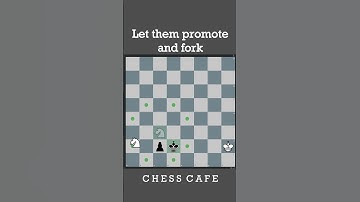 CAN THE KNIGHT STOP PROMOTION ?