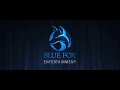 Blue fox entertainment  storm city linoleum