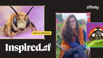 Creating Vibrant Bug Portraits with Affinity