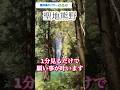 もし逃したら2度とないです!24時間後から良いことが次々と起きます!龍神最強パワースポット(那智の滝)#パワースポット #遠隔参拝