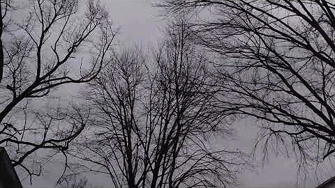 Today's Devotion 12.19.25 Learning From Adversity