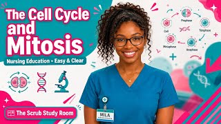 The Cell Cycle & Mitosis Made EASY!