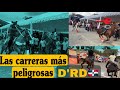 Las carreras de caballos más peligrosas de República Dominicana 🇩🇴