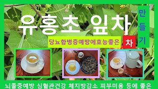 유홍초잎차만드는방법/당뇨합병증,암예방,노화방지에 도움줍니다