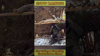 Grid Winter Survival at My Remote Shelter #snowcamp #wintercamping #camping #campingintherain