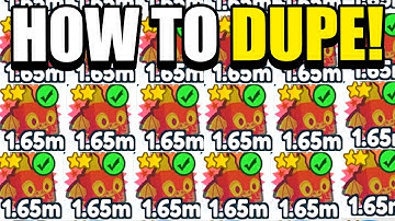 How to DUPE PETS in Pet Simulator X! (Infinite Pets?)
