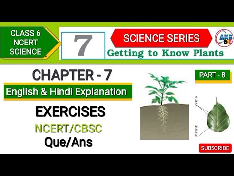 Getting to Know Plants Chapter 7 Class 6 | Part 8 | Solution/Excercise ...