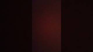 Download Lagu suara burung tekukur MP3