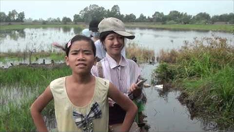 Bắt chuột đồng mùa nước lũ về làm nhiều món ngon tập 2