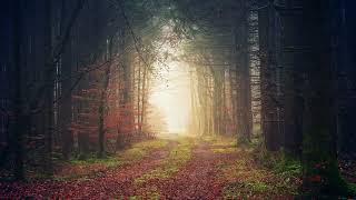 HIDDEN PITFALLS