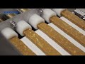 Protein and chocolate  bars extruding line
