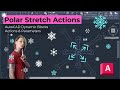 10 - Polar Stretch Action - Dynamic Block Actions & Parameters 101 - FTF