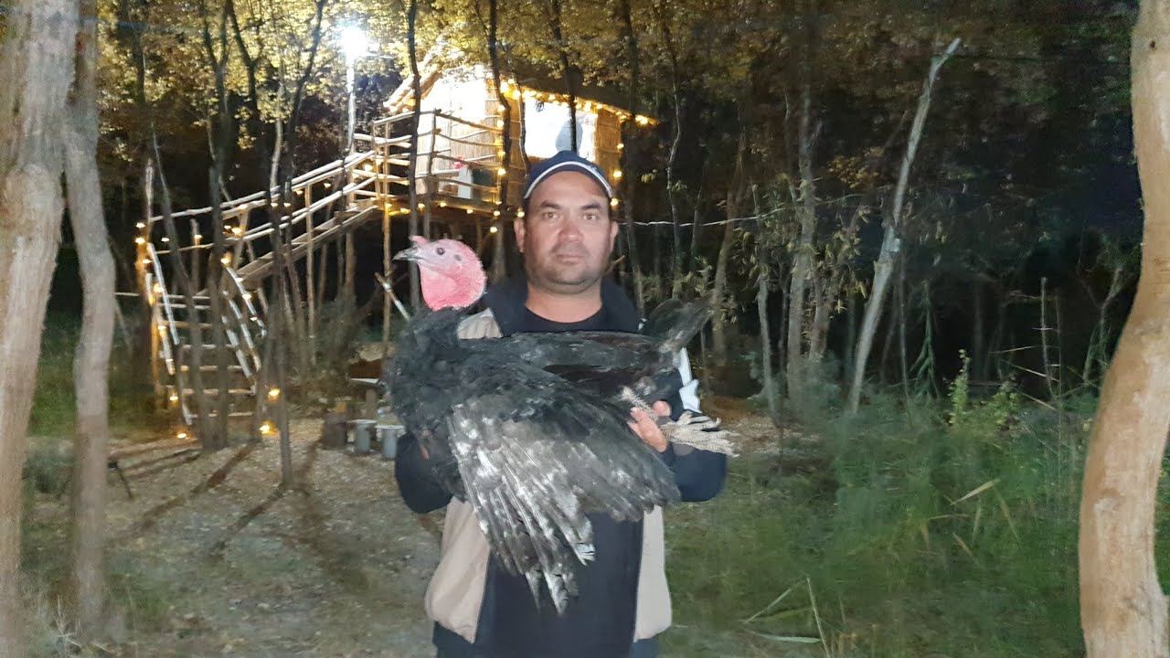 Tabiat qo'ynida qaynar xumchada kurka go'shtidan ajjoyib yoshartiruvchi tayyorladik! 