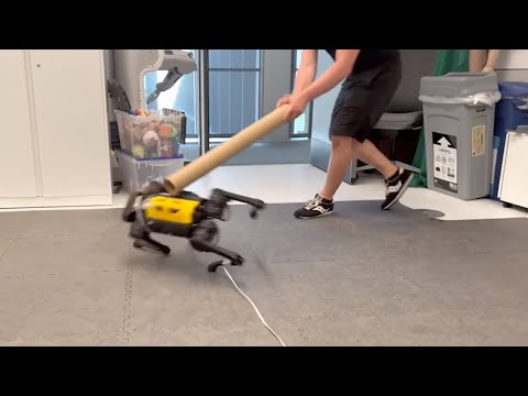 Un cane robotico impara a camminare con l’aiuto dell’intelligenza artificiale.  Sono passato dall’essere completamente senza speranza a essere in grado di camminare in un’ora.