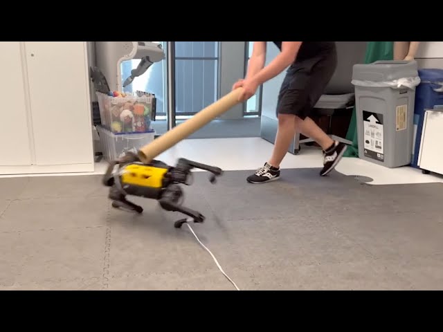 Robot learns to walk by himself!