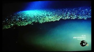 Water lake at the deep sea bottom - by Mike deGruy BBC - As above, so below.