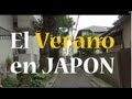 El Sonido INCREIBLE de las Cigarras en JAPON